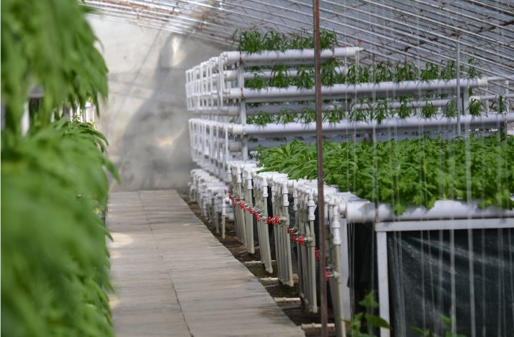 易捷航服_易捷航空官网_易捷航空客服