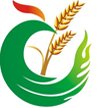 西安飞盾计算机信息技术有限公司