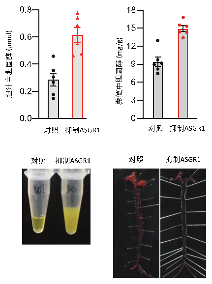 回顾，2022年度中国生命科学十大进展发布(图3)