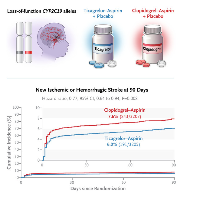 回顾，2022年度中国生命科学十大进展发布(图8)