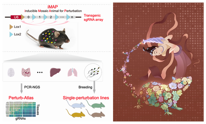回顾，2022年度中国生命科学十大进展发布(图9)