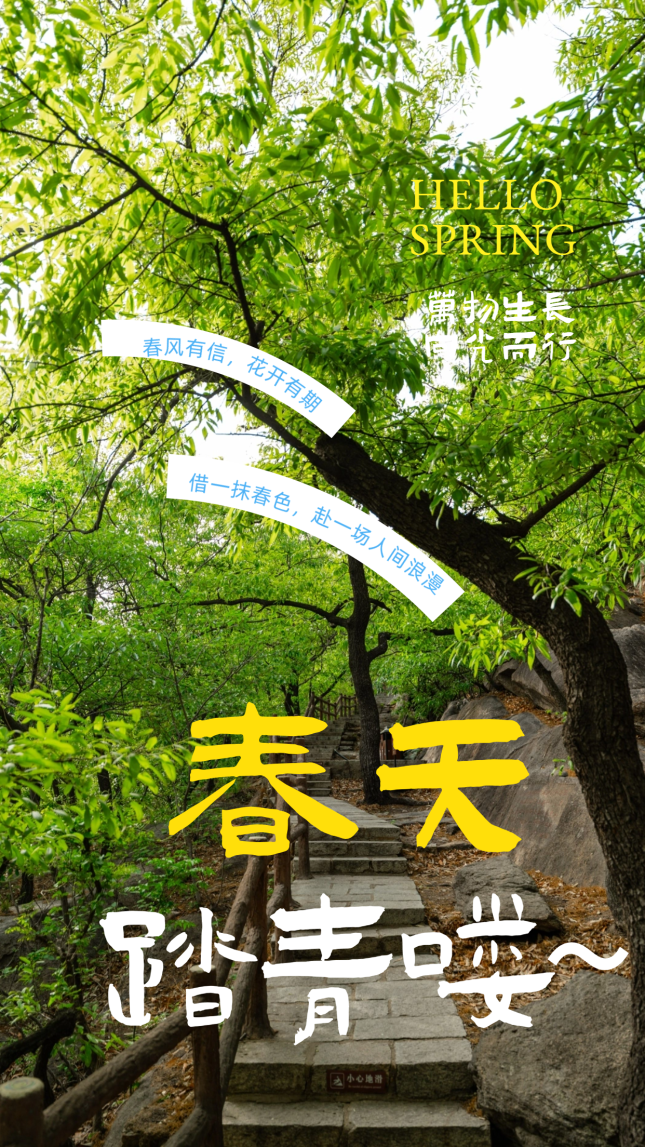 油画风春季日签简约海报.png