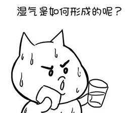 现在吃这个，只要半个月，湿毒全无一身轻松！