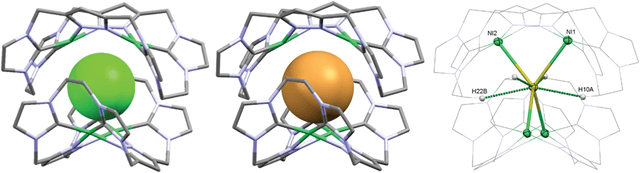 2016,  52, 9089),镍离子可以与咪唑环上的c和吡唑环上的n配位形成