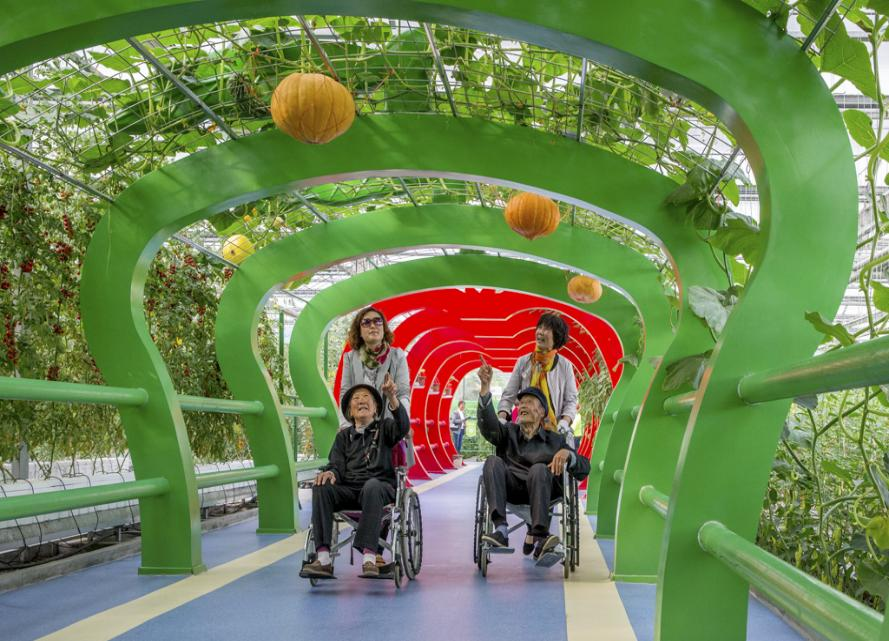 第九届兰陵苍山菜博会开幕文旅点靓多项主题活动