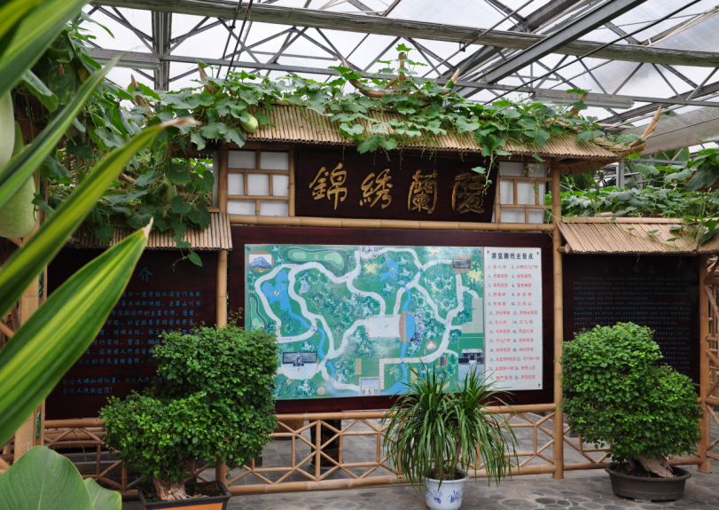 第九届兰陵苍山菜博会开幕文旅点靓多项主题活动