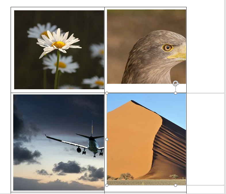 word全选图片调整大小_word图片怎么全选调大小_word怎么全选调整图片大小