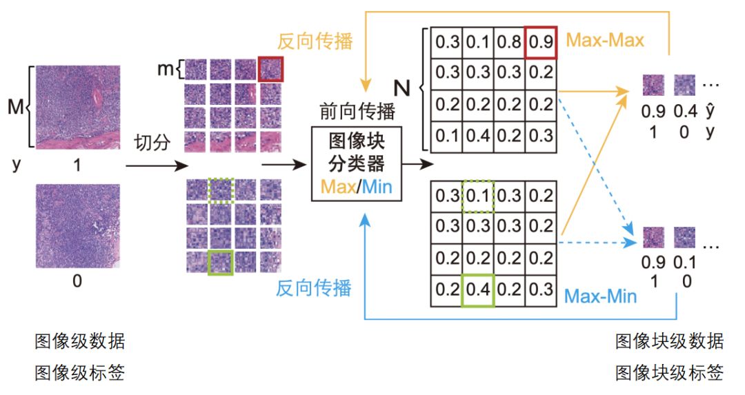 2019 ICCV收錄論文：基於弱監督學習的病理影像分析框架