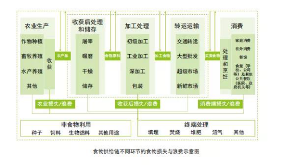 杜絕舌尖上的浪費，大資料、人工智慧、物聯網能做些什麼？