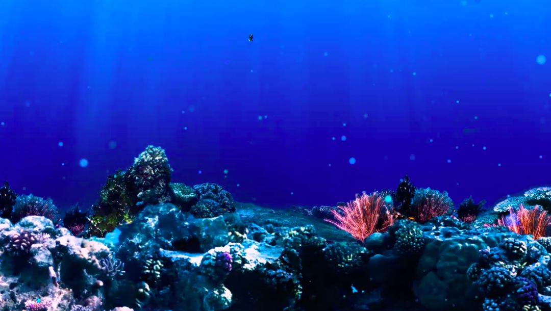 即將有一場海洋沉浸式體驗互動展在上海舉辦