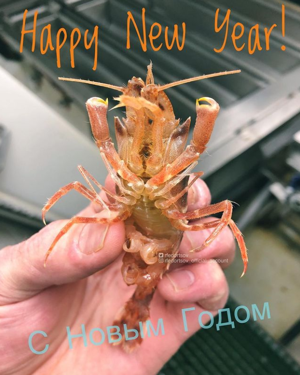 俄罗斯渔夫多年来不断捕到怪奇深海生物，感受来自深渊的恐惧（组图） - 5