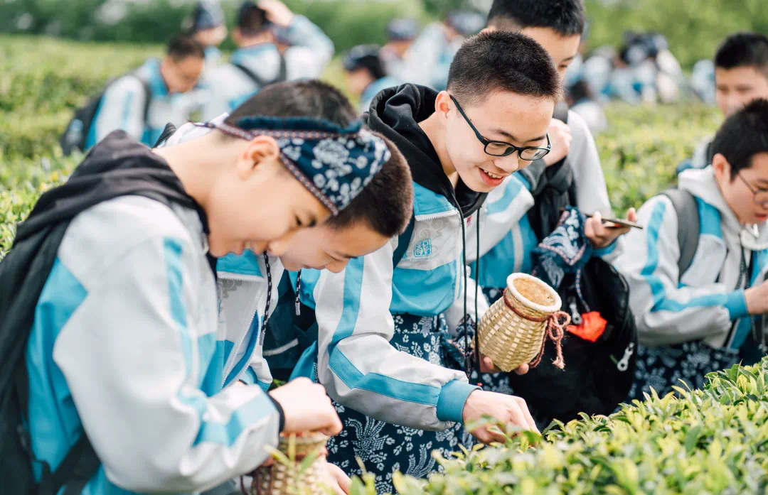 央媒聚焦青云谱区这所学校将劳动教育融入研学实践被中国教师报点赞