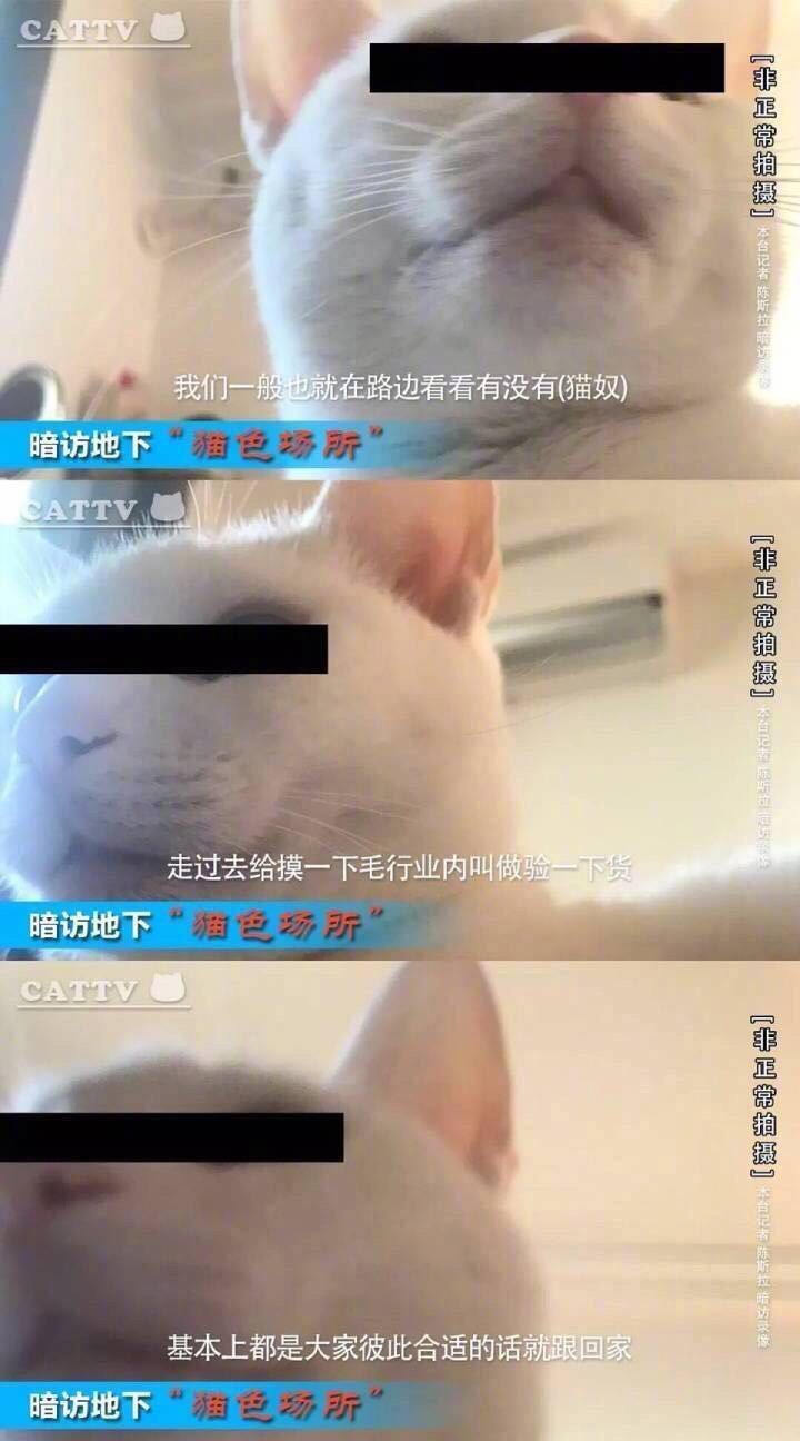 胖编怪聊：为了自己爽，居然对鸡做出这种事情