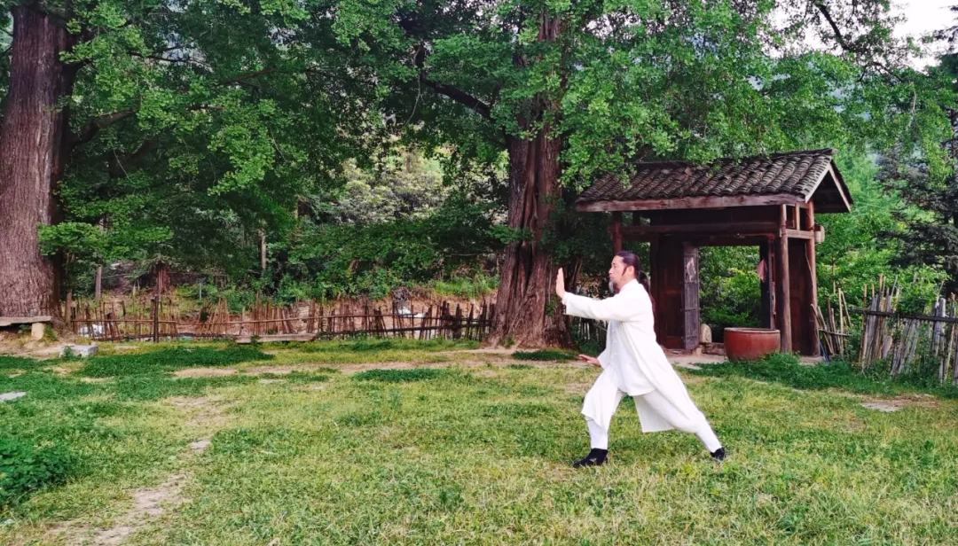 春分养生：养肝、健脾、育肾指南