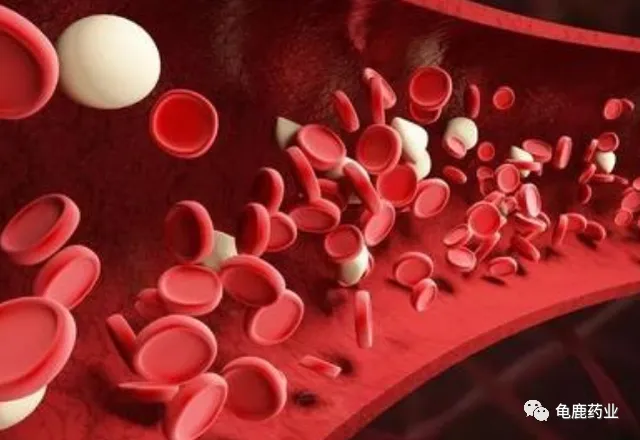 原来这才是人体最容易衰老的地方,如何才能延缓衰老? 原来这才是人体最容易衰老的地方,如何才能延缓衰老?