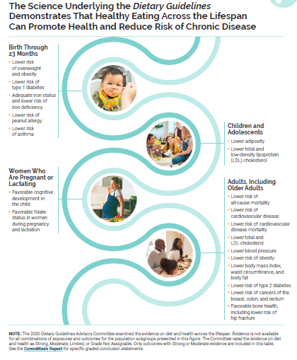 美国最新膳食指南（2020-2025）如何解读？有啥亮点？-Centre for New Immigrant Well-Being (CNIW)
