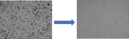 新品推荐│通用型细胞分选系列产品