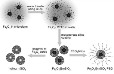 新品推荐│单分散磁性介孔二氧化硅纳米颗粒