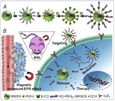 新品推荐│单分散磁性介孔二氧化硅纳米颗粒