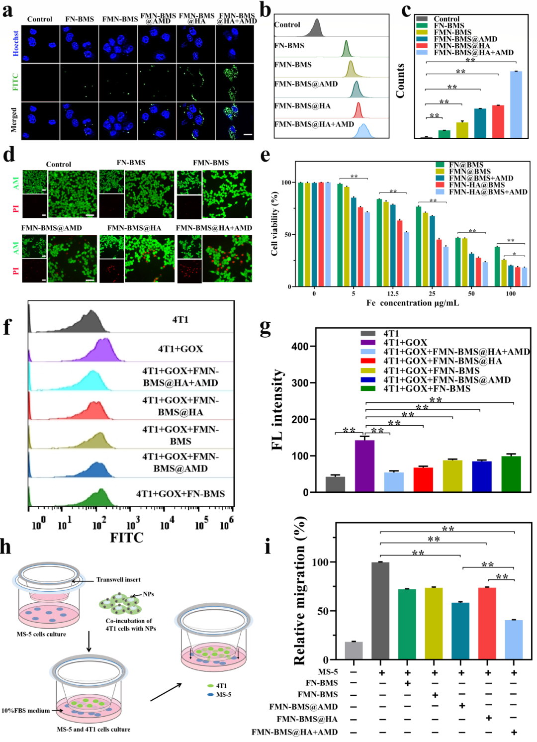 Nanotoday：多功能纳米平台实现影像指导化学动力治疗-CXCR4拮抗-PD-L1阻断协同治疗乳腺癌