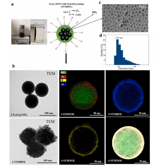 产品应用案例│可逆超疏水性翻转触发磁珠调节核酸的结合和分离进行超灵敏检测