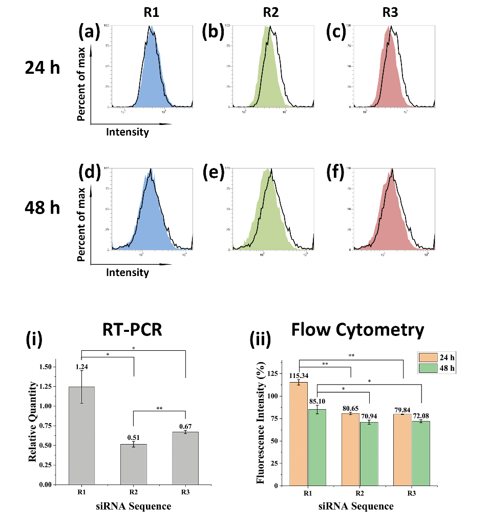 产学研合作： 氟化PEG-PEI磁转染载体递送siRNA敲低CXCR4表达