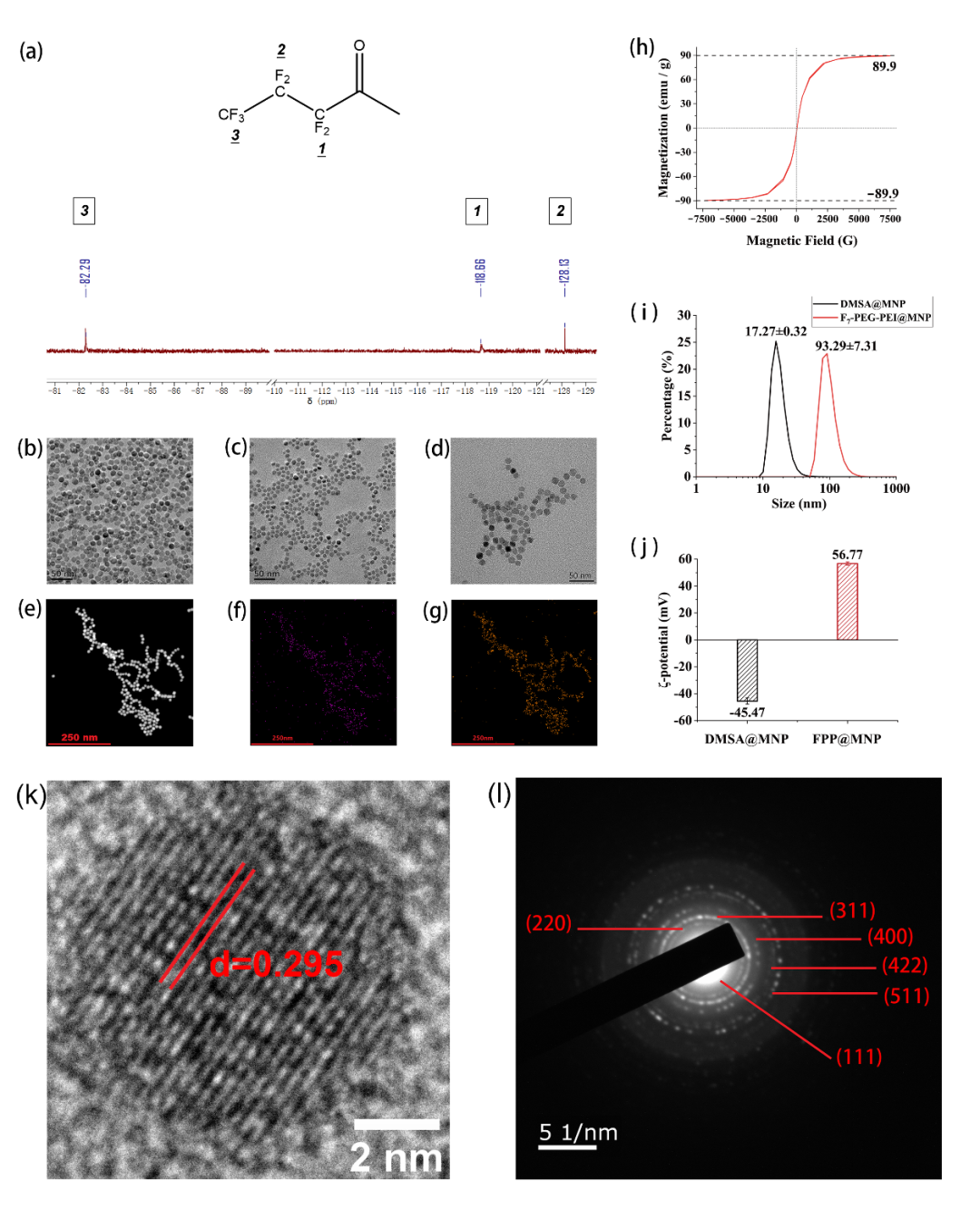 产学研合作： 氟化PEG-PEI磁转染载体递送siRNA敲低CXCR4表达