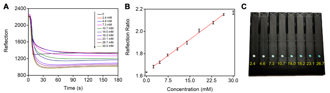 Biosens. Bioelectron.普鲁士蓝纳米酶成功用于纸基比色葡萄糖传感