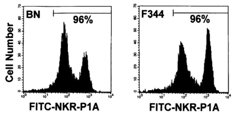 东纳生物精心打造：通用型细胞分选磁珠