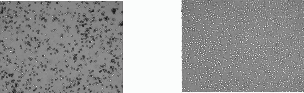 东纳生物精心打造：通用型细胞分选磁珠