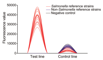 产品应用案例|等温扩增联合荧光免疫层析实现沙门氏菌的快速定量检测