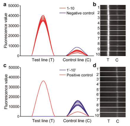 产品应用案例|等温扩增联合荧光免疫层析实现沙门氏菌的快速定量检测
