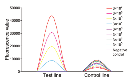 产品应用案例|等温扩增联合荧光免疫层析实现沙门氏菌的快速定量检测