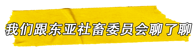 我们和东亚社畜委员会聊了聊 年轻人该怎么脱离社畜 跳海大院 微信公众号文章阅读 Wemp
