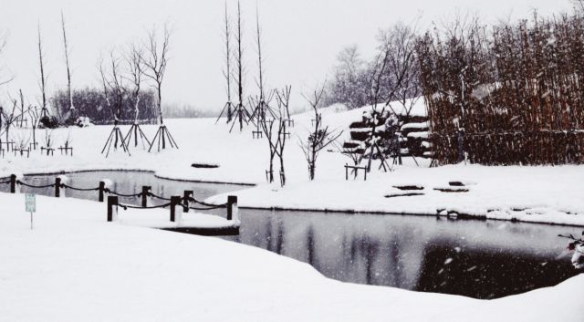 房产 | 扬州2018年第一场雪,惊艳了清浅时光