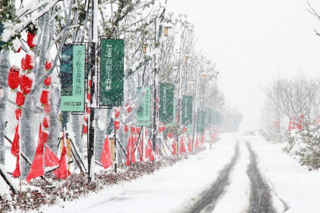 房产 | 扬州2018年第一场雪,惊艳了清浅时光