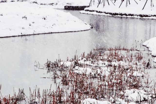 房产 | 扬州2018年第一场雪,惊艳了清浅时光