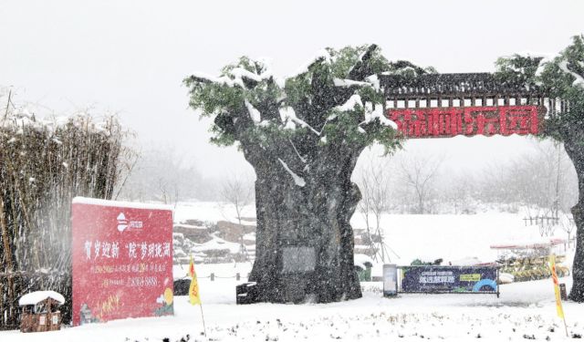 房产 | 扬州2018年第一场雪,惊艳了清浅时光