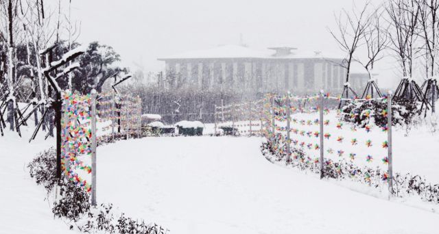 房产 | 扬州2018年第一场雪,惊艳了清浅时光