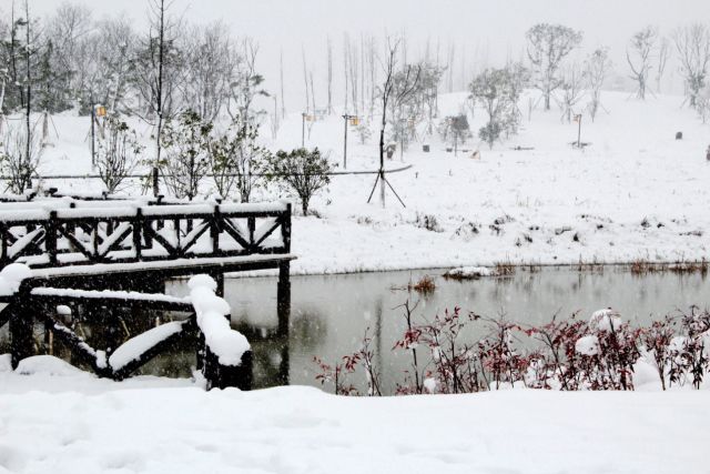 房产 | 扬州2018年第一场雪,惊艳了清浅时光