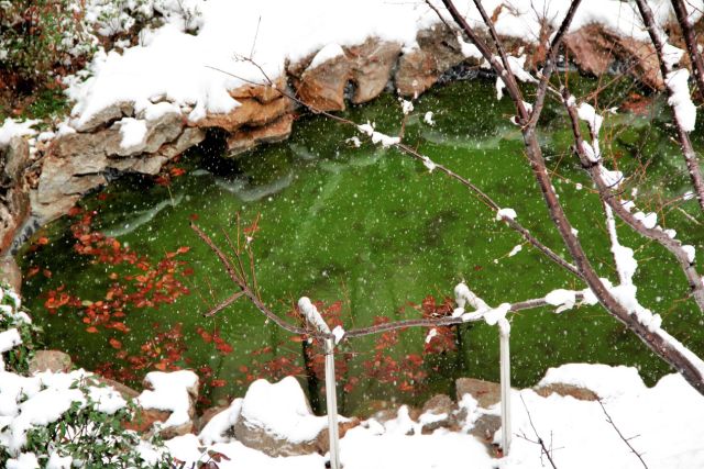 房产 | 扬州2018年第一场雪,惊艳了清浅时光