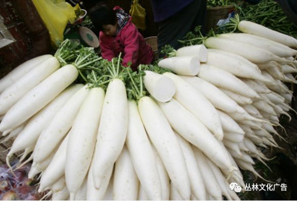 冬季养生多吃这4种"白色食物" - 小屋的主页