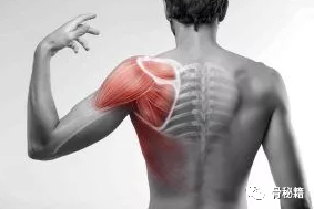 关于肩锁关节解剖与影像，一文了解！