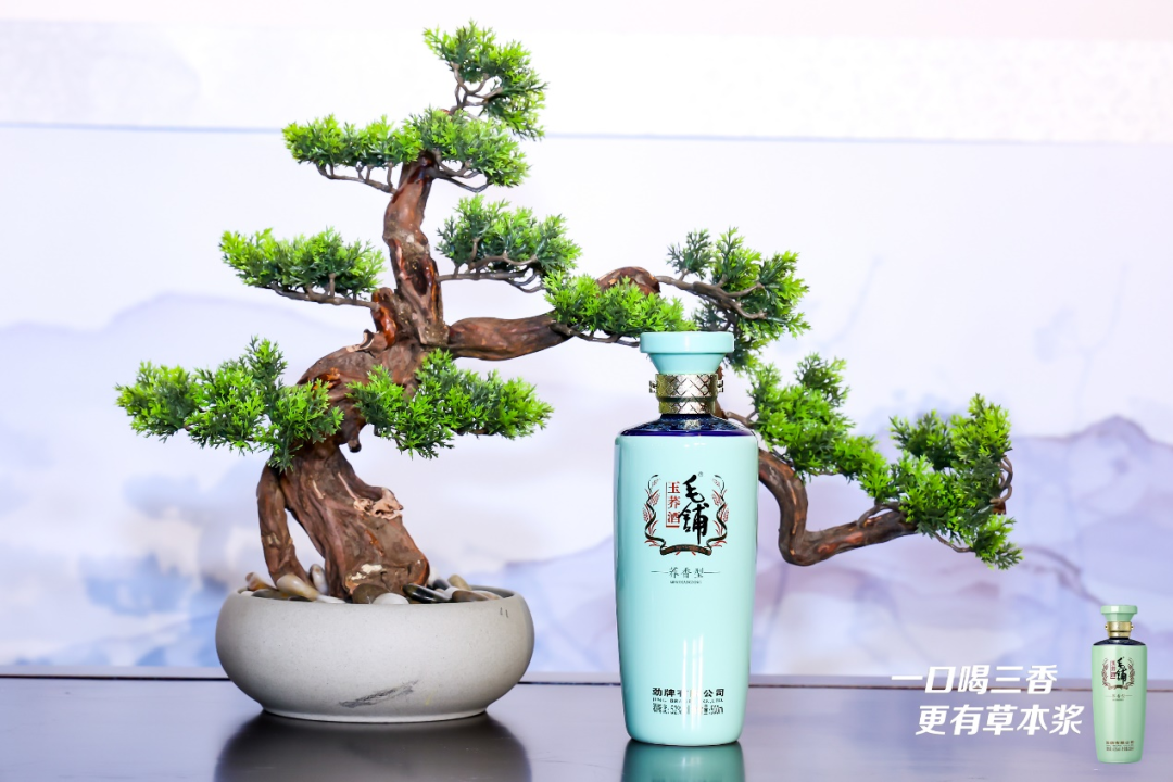 文化沙龙_沙龙365 - 沙龙365_押沙龙,押沙龙!