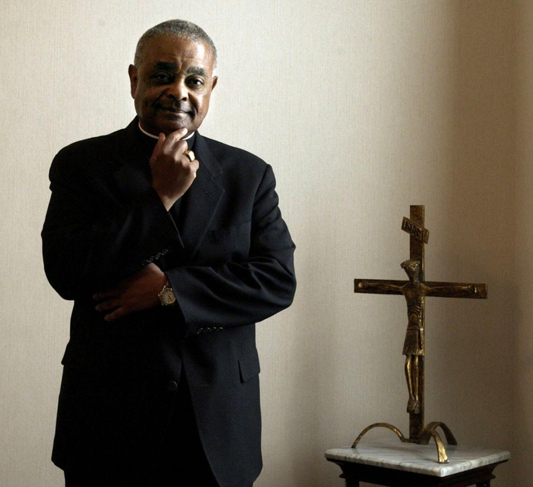 ����λ���˺������̳��֣�����10����ʿѧλ�����������ա����ġ����������˵�