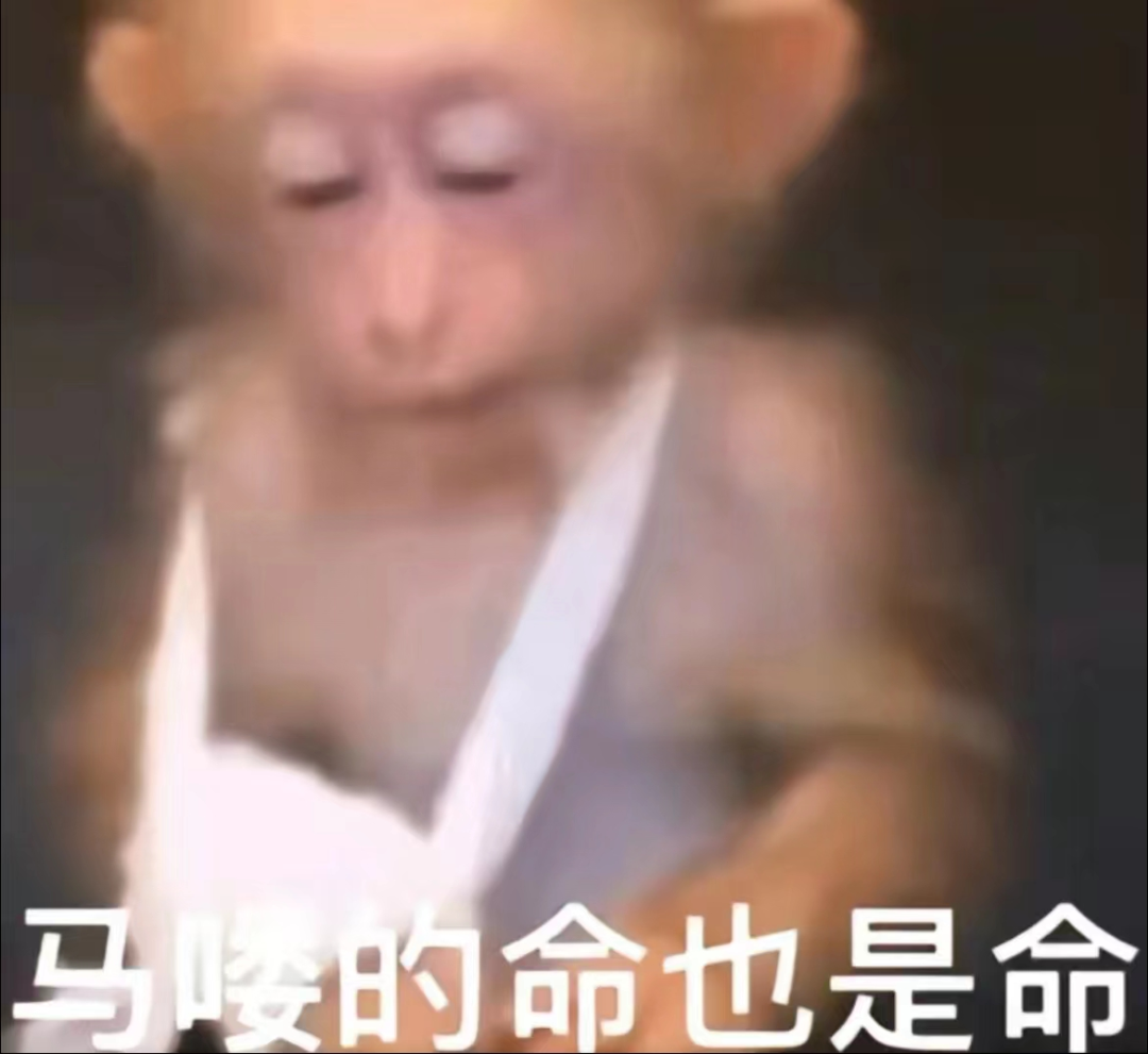 来自两广的方言"吗喽"更是掀起了一波表情包热潮,"吗喽"是猴子的意思