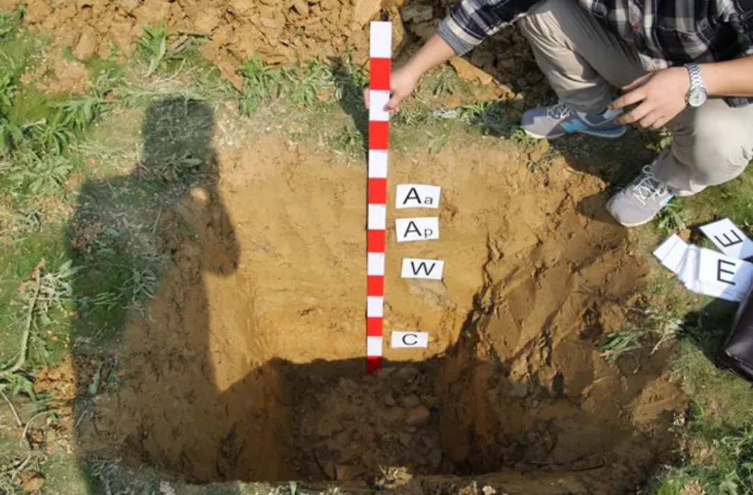 全域土地综合整治解决方案的图8