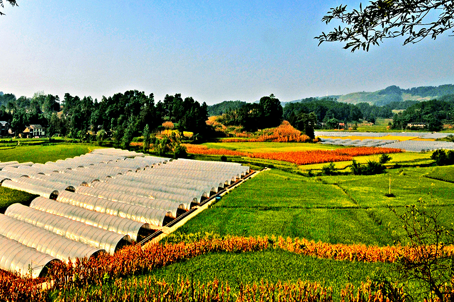 全域土地综合整治解决方案的图2