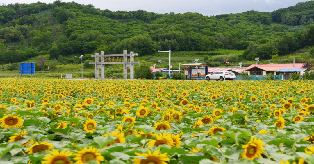 全域土地综合整治解决方案的图4