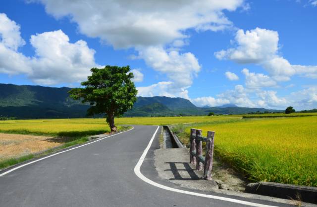 花蓮哪裡好玩之【台灣遊 】絢爛台灣季，不負美景之期。 旅遊 第4張